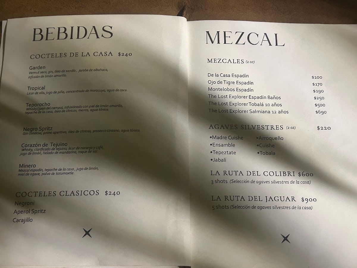 Negro Huitlacoxe Photo 8